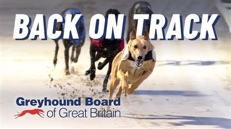Greyhoundboard (@Greyhoundboard) .